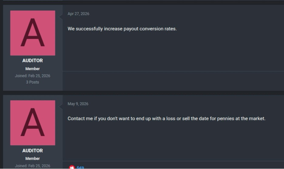 AUDITOR advertises Big-Four-grade audit services to ransomware operators on an underground forum