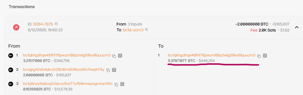 The highest-balance wallet's transfer into the 001K Bot service.