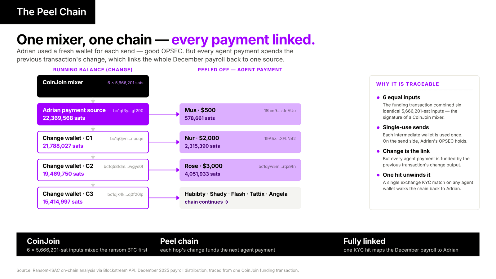 The December 2025 payroll peel chain. One CoinJoin funding transaction (six equal inputs) feeds Adrian's source wallet. Each agent payment peels off while the change funds the next, chaining every payment to one source.
